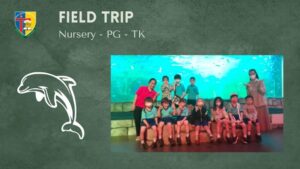Read more about the article FIELD TRIP OCEAN DREAMS ANCOL