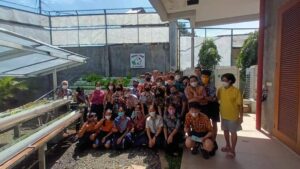 Read more about the article KEBUN HIDROPONIK AMARE