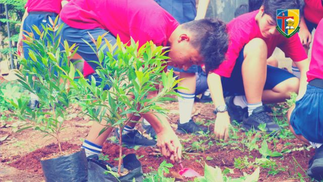 bumiku hijau santo andreas 4